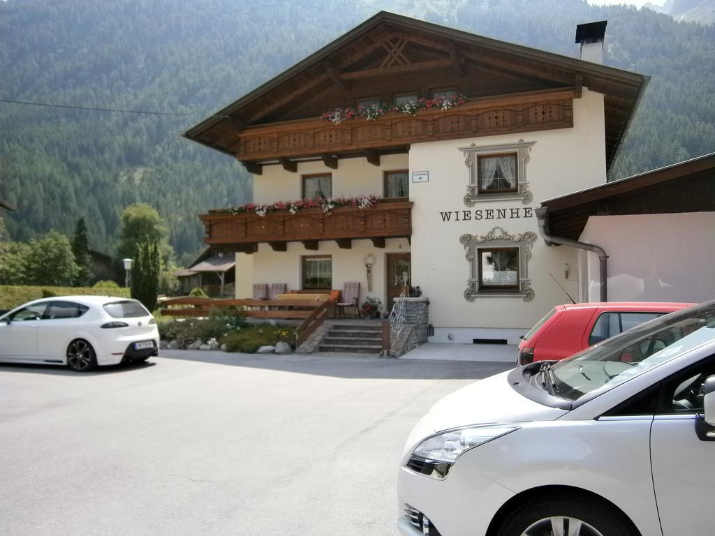 Haus Wiesenheim Fw Oetztal Langenfeld Exterior photo